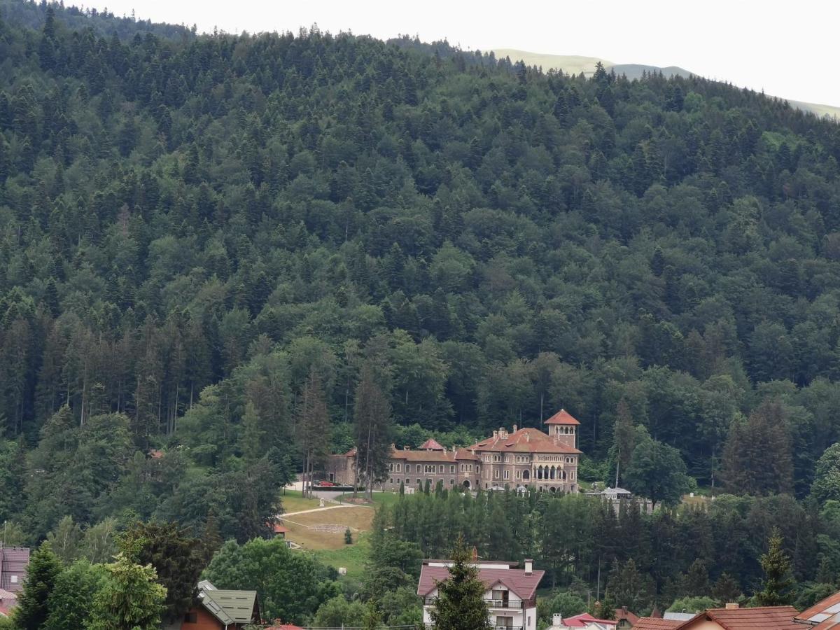 Hotel Iri Буштени Экстерьер фото