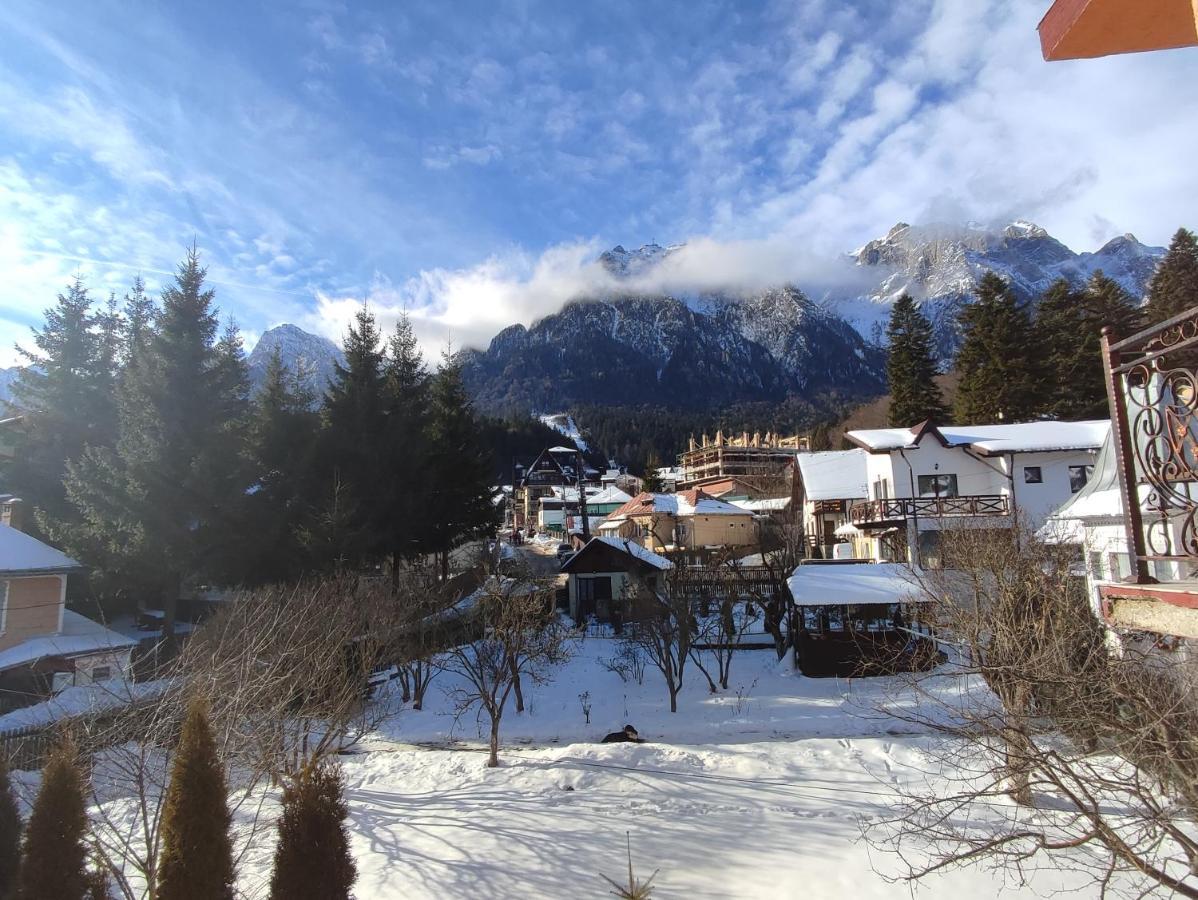 Hotel Iri Буштени Экстерьер фото
