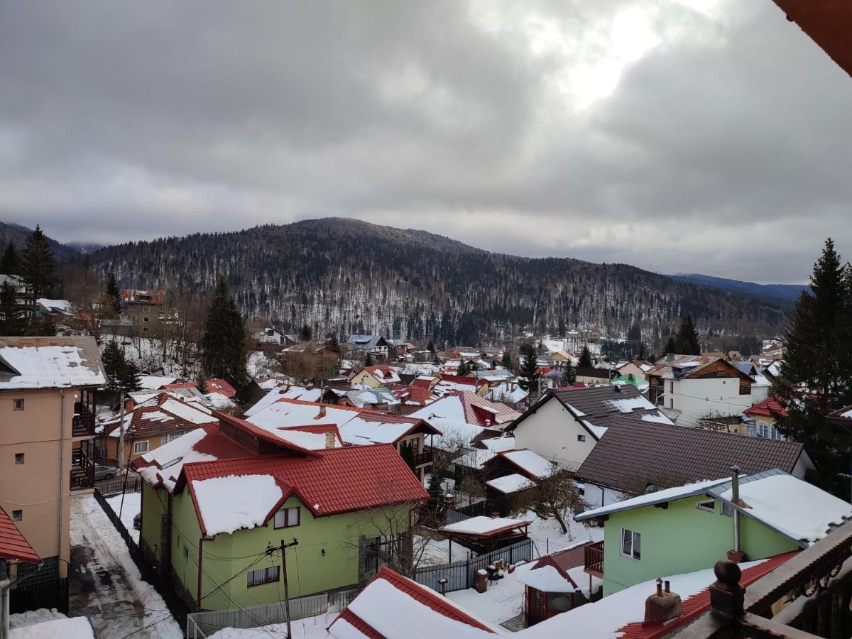 Hotel Iri Буштени Экстерьер фото